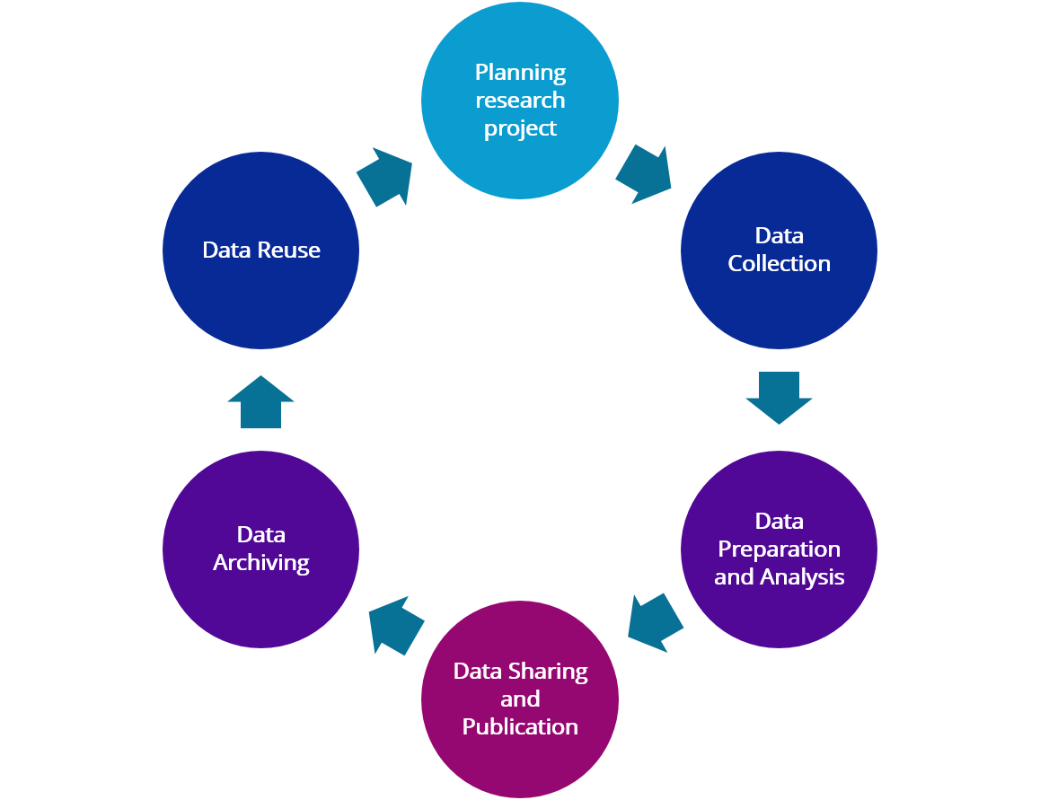 Graphic: The Research Data Management Cylcle